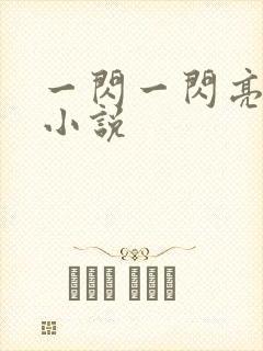 一闪一闪亮星星小说