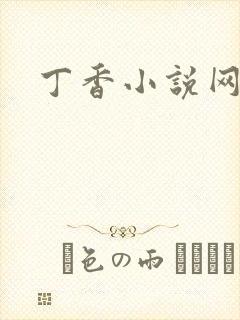 丁香小说网