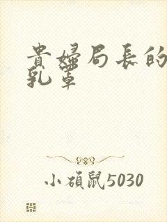 贵妇局长的蕾丝乳罩