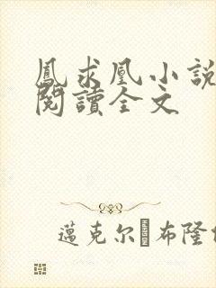 凤求凰小说免费阅读全文