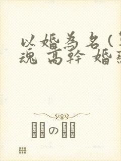 以婚为名 (军魂 高干 婚恋)
