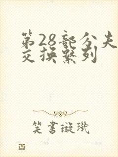 第28部分夫妇交换系列