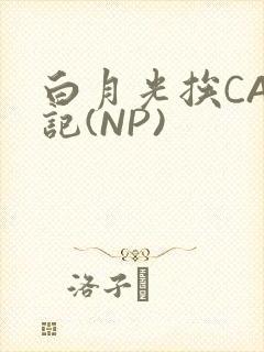 白月光挨CAO记(NP)