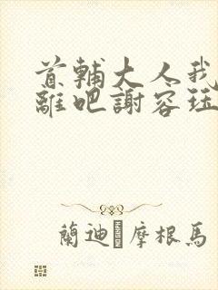 首辅大人我们和离吧谢容珏