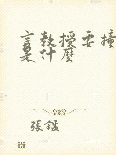 言教授要撞坏了是什么