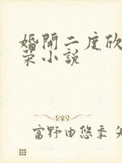 婚开二度欣欣向荣小说