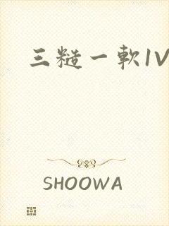 三糙一软1V3