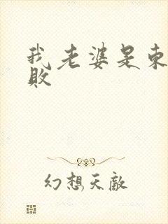 我老婆是东方不败
