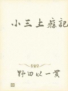 小三上瘾记