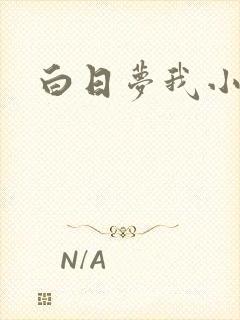 白日梦我小说