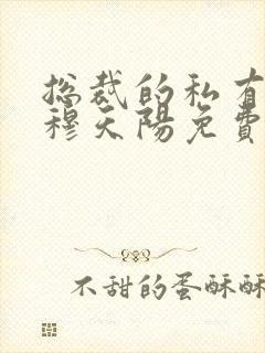 总裁的私有宝贝穆天阳免费