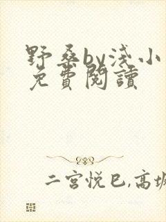 野桑by浅小说免费阅读