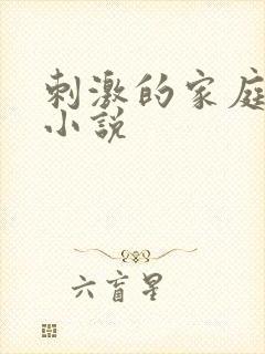 刺激的家庭乱仑小说