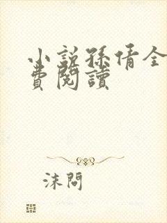 小说孙倩全文免费阅读