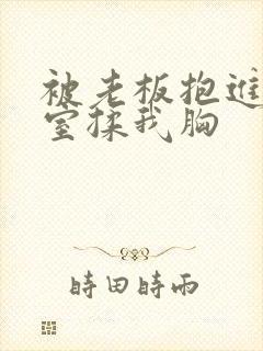 被老板抱进办公室揉我胸