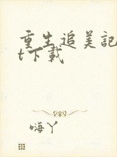 重生追美记txt下载