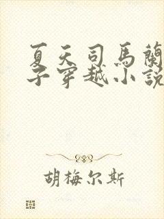 夏天司马兰九皇子穿越小说笔趣阁