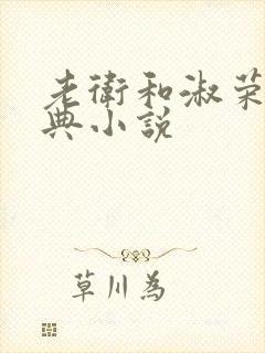 老卫和淑荣的经典小说