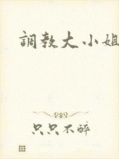 调教大小姐