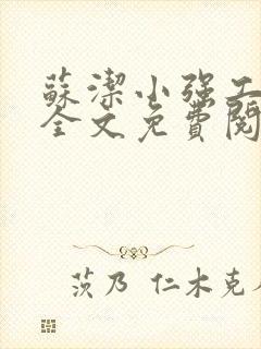 苏洁小强工地情全文免费阅读