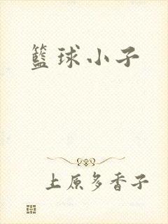 篮球小子
