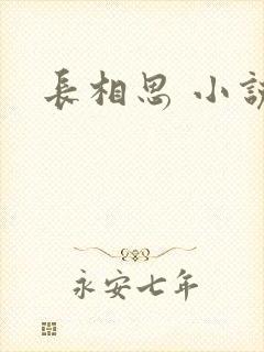 长相思 小说