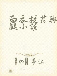 白衣校花与大长腿小说