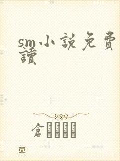sm小说免费阅读