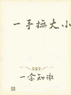 一手抚大小说