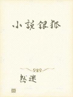 小说银狐