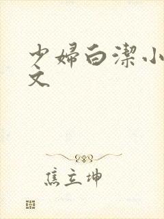 少妇白洁小说全文