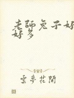 老师兔子好软水好多