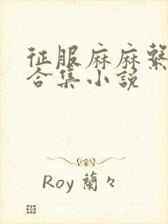 征服麻麻系列大合集小说