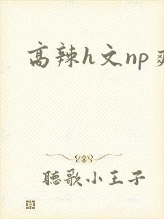 高辣h文np爽