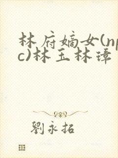 林府嫡女(npc)林玉林璋