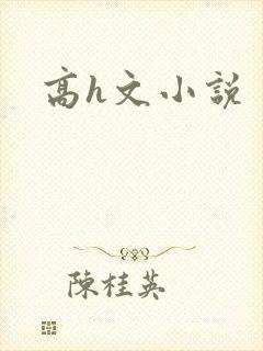 高h文小说