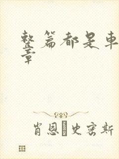 整篇都是车的文章