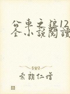 公车之狼12集全小说阅读