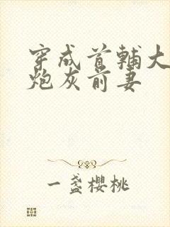 穿成首辅大人的炮灰前妻