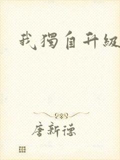 我独自升级小说