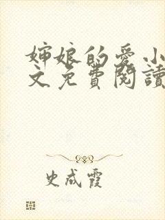 婶娘的爱小说全文免费阅读