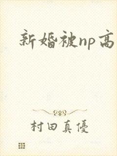 新婚被np高h