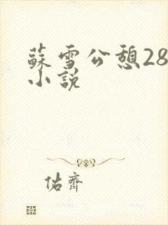 苏雪公憩28篇小说