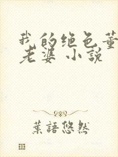 我的绝色董事长老婆 小说