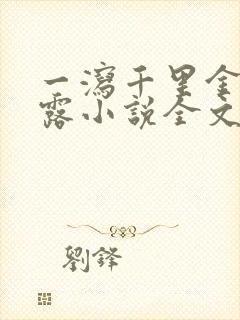 一泻千里金银花露小说全文免费阅读