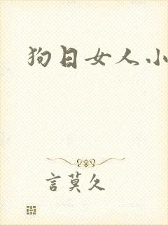 狗日女人小说
