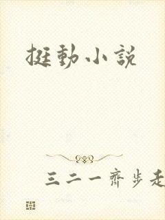 挺动小说