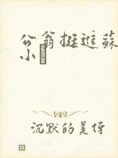 公翁挺进苏玥的小泬