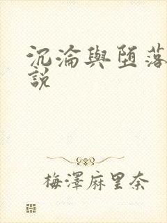 沉沦与堕落的小说