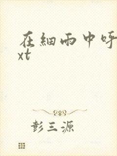 在细雨中呼喊txt